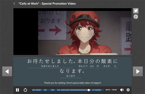 where to watch anime with japanese subtitles